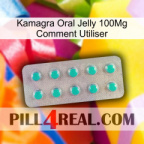 Kamagra Oral Jelly 100Mg How To Use 28